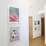 Casa Da Viola - * District de Faro